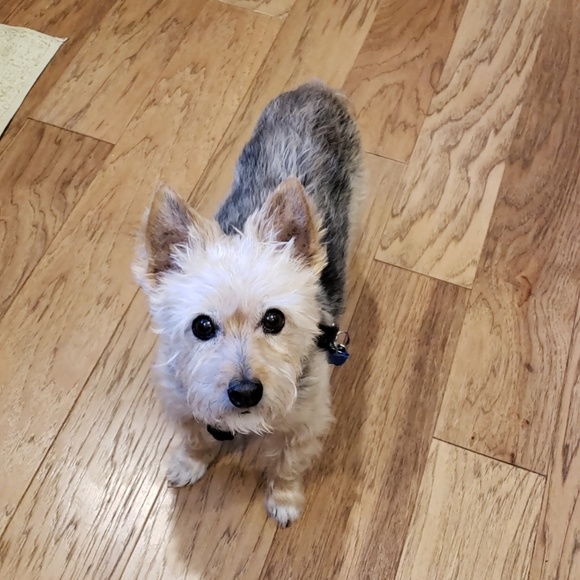 Meet your Posher, Julie - Picture 1 of 1